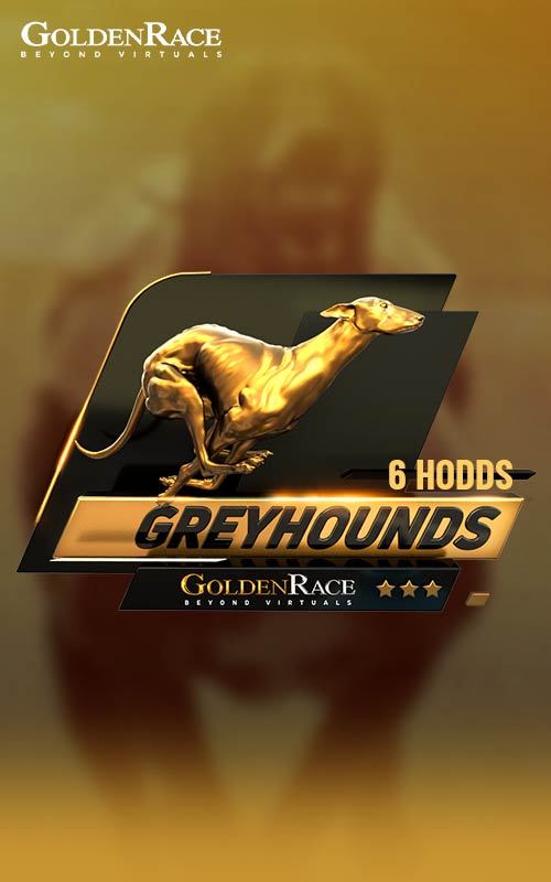 Dog 6 HOdds