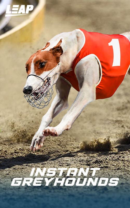 Instant Greyhounds